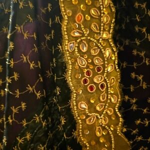 Beautiful Indian Saree